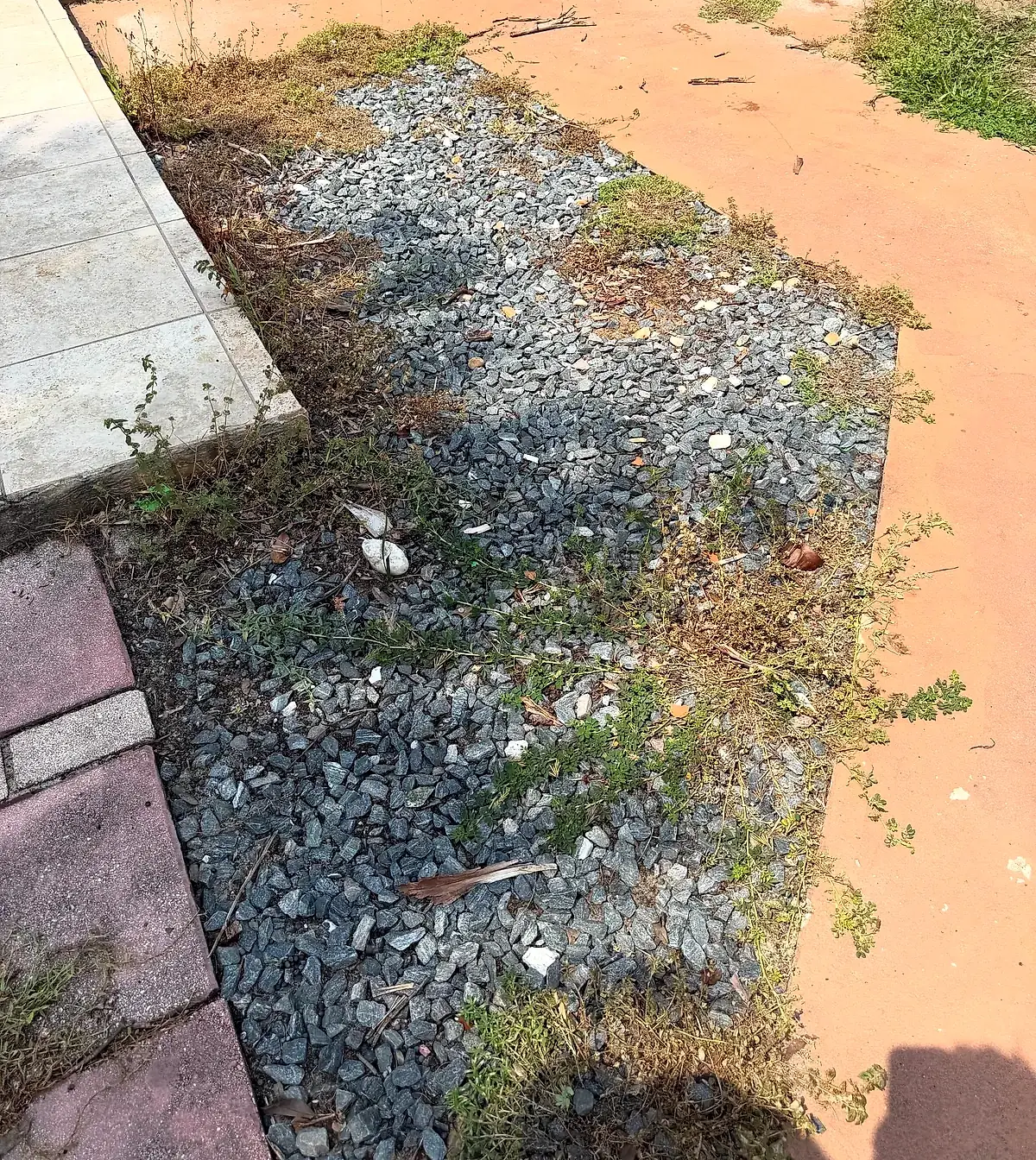 Gravel bed between patio slabs overgrown with weeds and dry grass