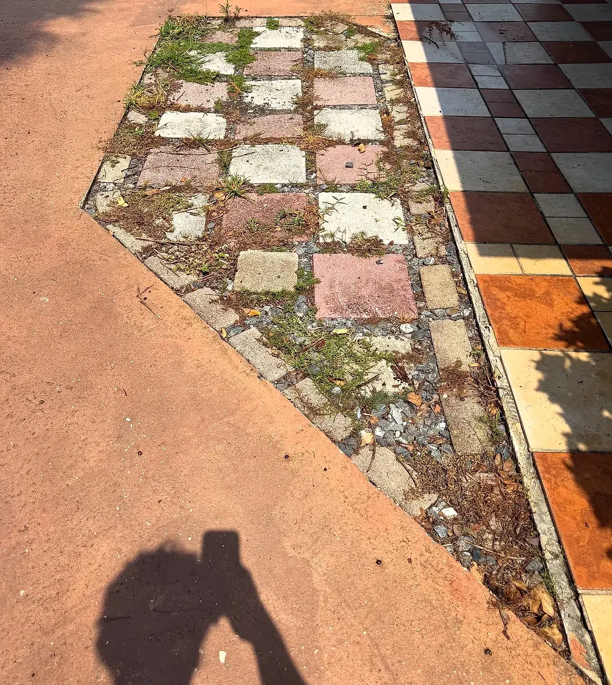 Checkerboard paver inset with weeds and moss in the joints
